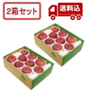 【予約商品 12月上旬～ 発送】 「サンふじ」×2 【2箱セット】